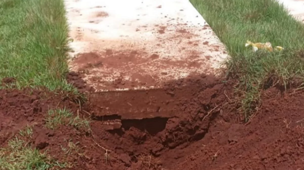 ameaçar esposa com cabeça da sogra