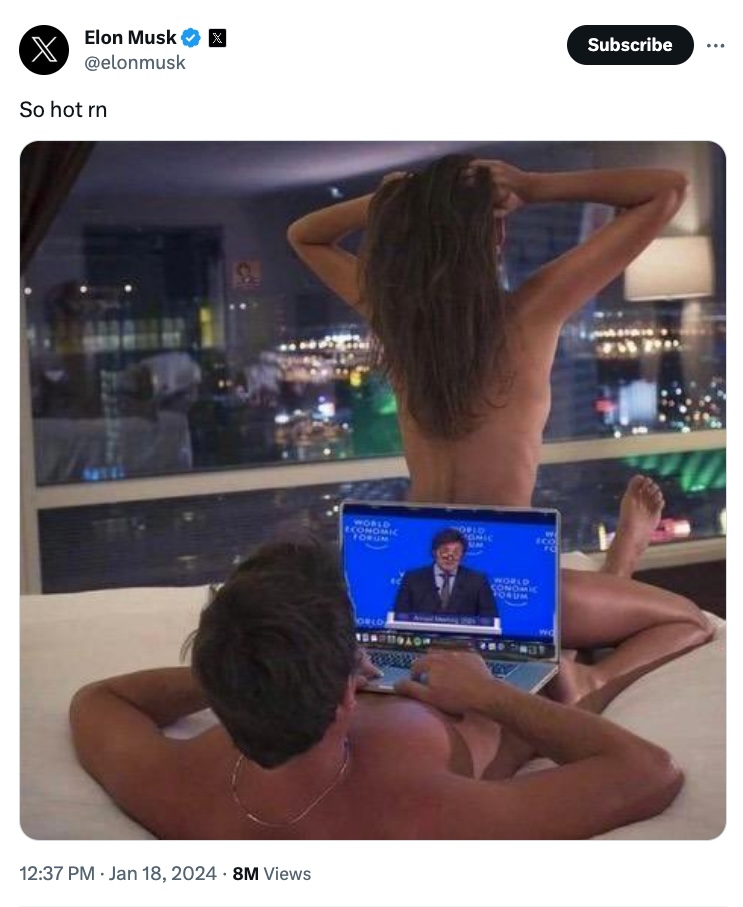 Elon Musk praised Argentina's new populist president with a racy meme on his X social media account.