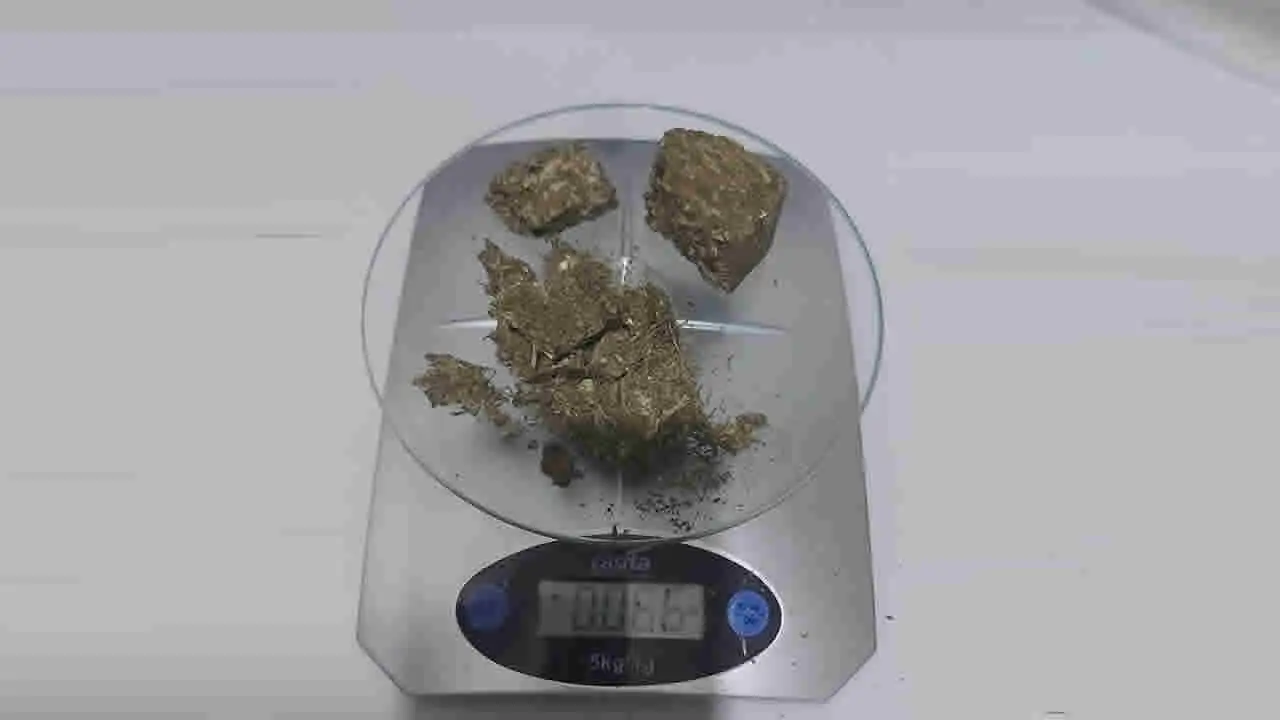 Maconha STF
