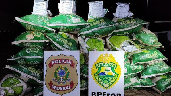 PF e BPFron apreendem 500kg de agrotóxicos contrabandeados em Guaíra