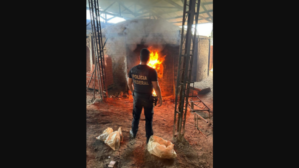 PF incinera meia tonelada de drogas em Tabatinga