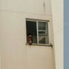 RS: Cavalo fica preso no 3º andar de prédio em São Leopoldo
