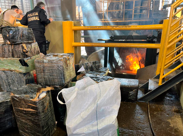 PF incinera mais de 2,5 toneladas de maconha