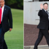 Donald Trump e Elon Musk