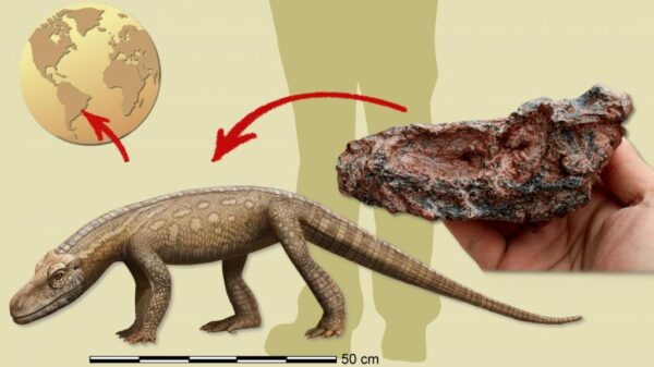 Parvosuchus - Réptil que viveu antes dos dinossauros é descoberto no Brasil