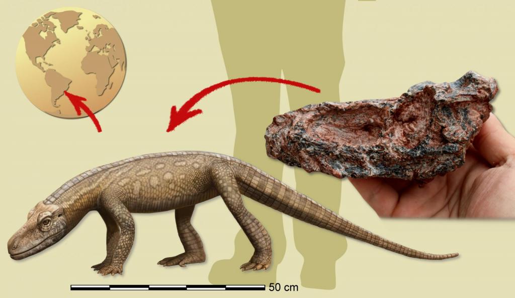 Parvosuchus - Réptil que viveu antes dos dinossauros é descoberto no Brasil