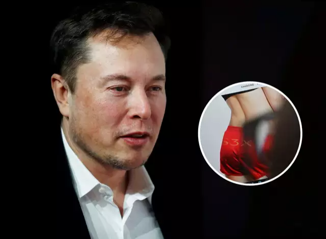 Elon Musk safadinho