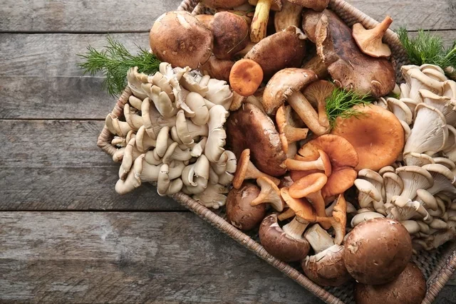 Descubra os segredos nutricionais dos diferentes tipos de cogumelos e ...