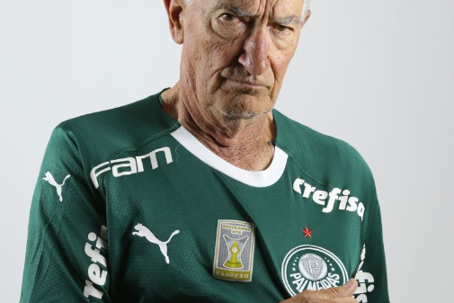 dudu palmeiras