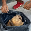 Homem é preso após furtar ossos em cemitério; restos mortais seriam usados em ritual