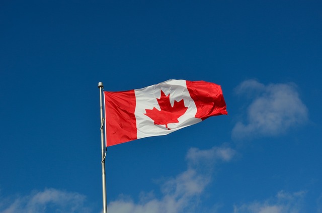 Canadá lançará novos programas para atrair cuidadores estrangeiros como residentes permanentes; saiba tudo