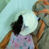 Menina de 3 anos fica com pescoço e cabeça ferida após ser atacada por Pitbull na calçada de casa no interior do Piauí