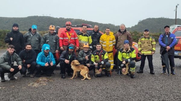 Cachorro caramelo é resgatado após mais de 2 semanas perdido em Parque Nacional da Serra Geral