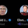 Trump e musk no x