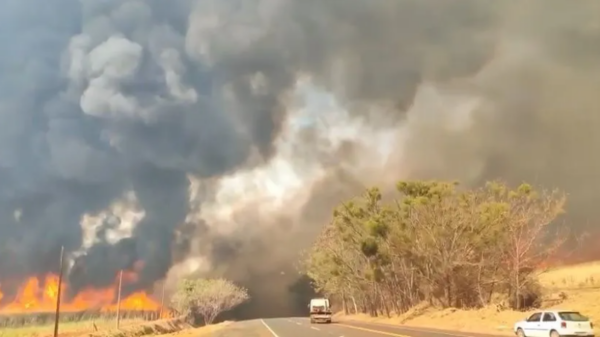 Incêndios põem 48 cidades de São Paulo em alerta e tiram mais de 800 pessoas de casa