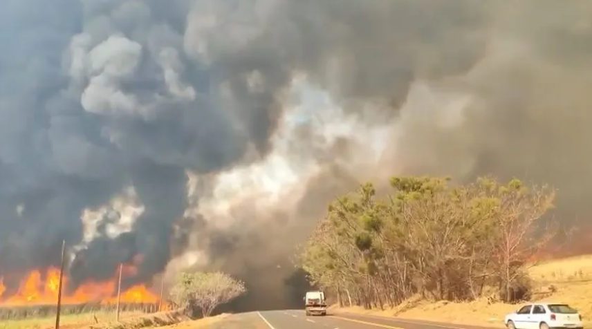 Incêndios põem 48 cidades de São Paulo em alerta e tiram mais de 800 pessoas de casa