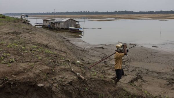 Seca: Rio Solimões tem 65% de probabilidade de ficar abaixo da mínima histórica