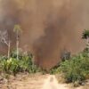 Rondônia declara situação de emergência por incêndios florestais