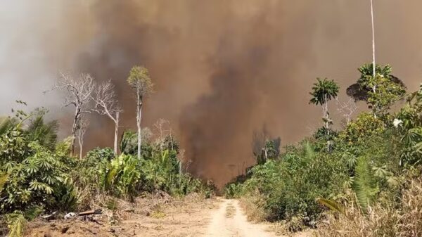 Rondônia declara situação de emergência por incêndios florestais