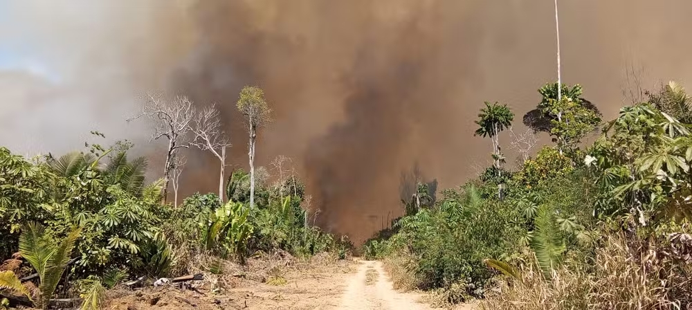 Rondônia declara situação de emergência por incêndios florestais