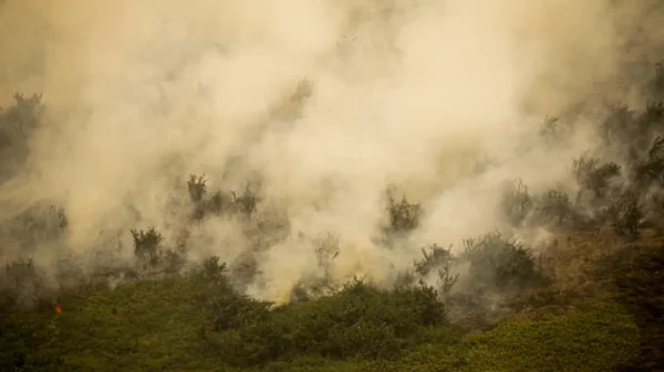 Defesa Civil de São Paulo emite alerta para risco de incêndios florestais