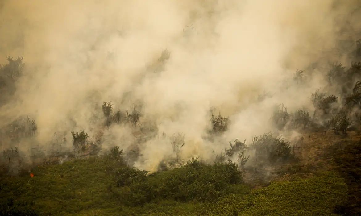 Defesa Civil de São Paulo emite alerta para risco de incêndios florestais