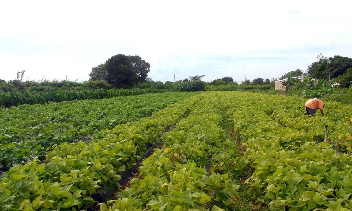 Incra destina 102,5 mil hectares de terras públicas para assentar 1,2 mil famílias