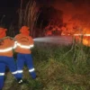 Situação de emergência por incêndio florestal cresceu 354% em agosto