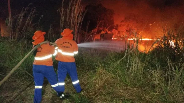 Situação de emergência por incêndio florestal cresceu 354% em agosto