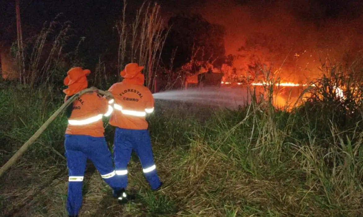 Situação de emergência por incêndio florestal cresceu 354% em agosto