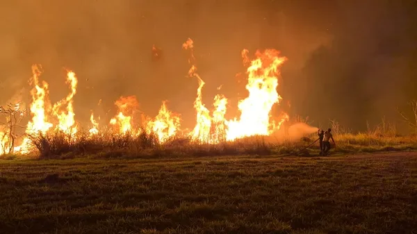 Incêndio de grandes proporções atinge mata em terreno do Inpe em São Paulo