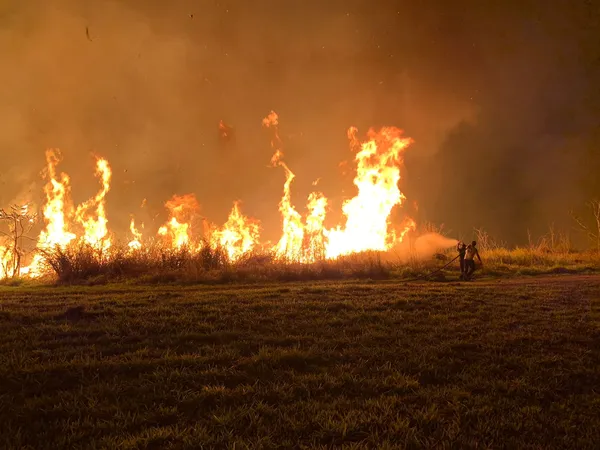 Incêndio de grandes proporções atinge mata em terreno do Inpe em São Paulo