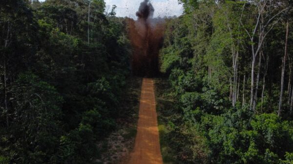 Pista de pouso usada por garimpo ilegal na Terra Yanomami é destruída