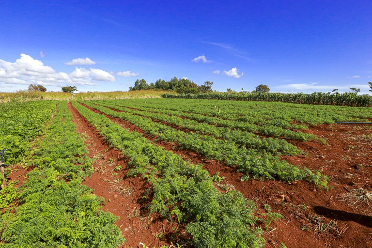 Governo destina 2,3 milhões de hectares de terras públicas federais a indígenas e reforma agrária