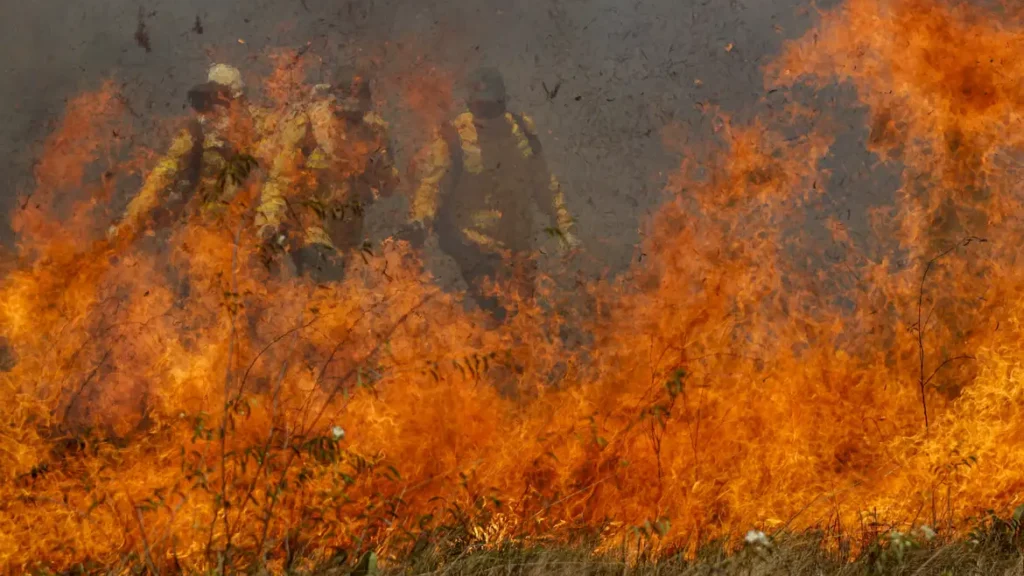 Incendios pantanal - Polícia Federal diz que há indícios de ação coordenada em casos de incêndios ambientais