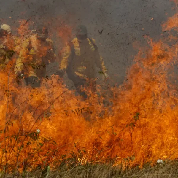 Incendios pantanal - Polícia Federal diz que há indícios de ação coordenada em casos de incêndios ambientais