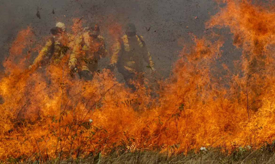 Incendios pantanal - Polícia Federal diz que há indícios de ação coordenada em casos de incêndios ambientais