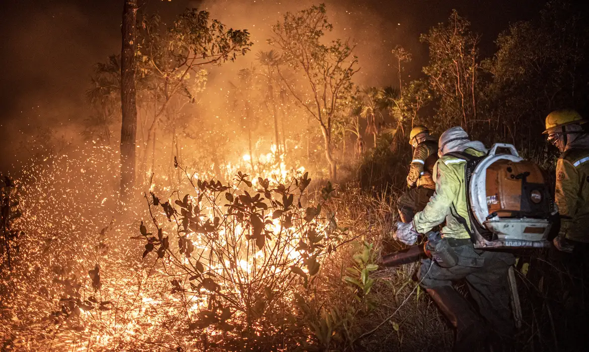 Brasil teve 11,39 milhões de hectares do território do país atingidos pelo fogo este ano