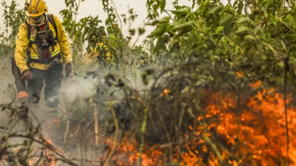 Programa Queimadas: Brasil já registou mais de 154 mil focos de calor este ano, revela Inpe