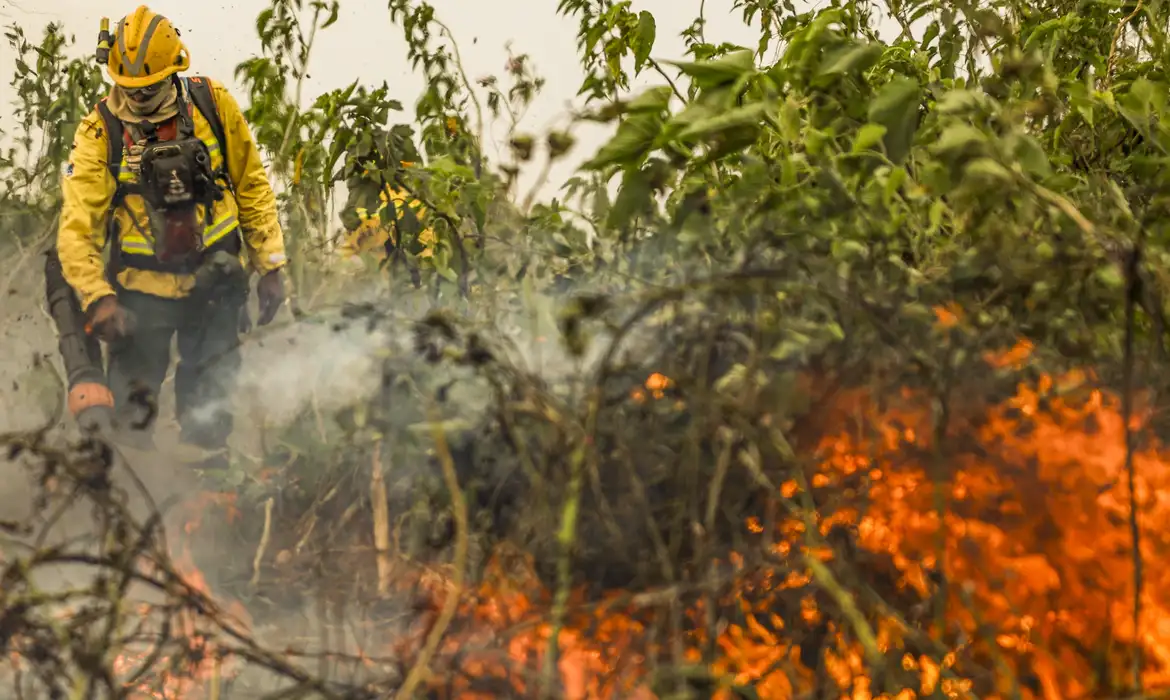 Programa Queimadas: Brasil já registou mais de 154 mil focos de calor este ano, revela Inpe