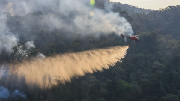 Governo do Rio investiga mais de 20 pessoas por incêndios florestais