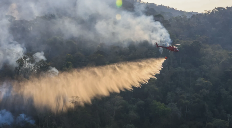 Governo do Rio investiga mais de 20 pessoas por incêndios florestais