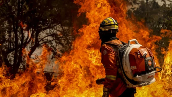 Piauí, São Paulo e Ceará têm os menores índices de bombeiros por habitantes no país