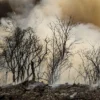 PF investiga se incêndio que atinge Floresta Nacional de Brasília é criminoso