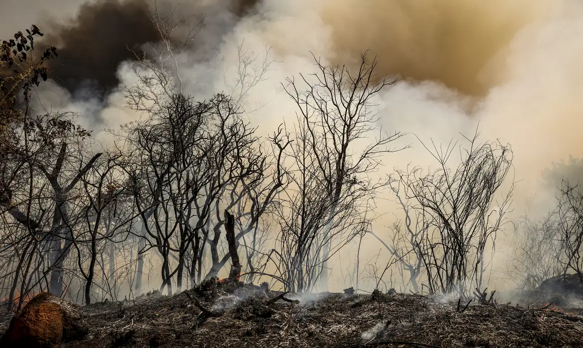 PF investiga se incêndio que atinge Floresta Nacional de Brasília é criminoso