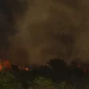 RJ: Chuva ajuda a apagar incêndio no Parque da Serra dos Órgãos