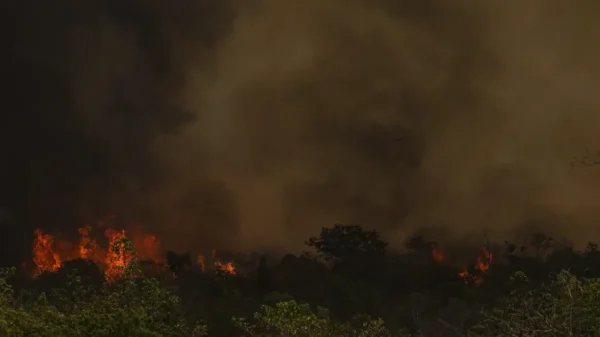 RJ: Chuva ajuda a apagar incêndio no Parque da Serra dos Órgãos