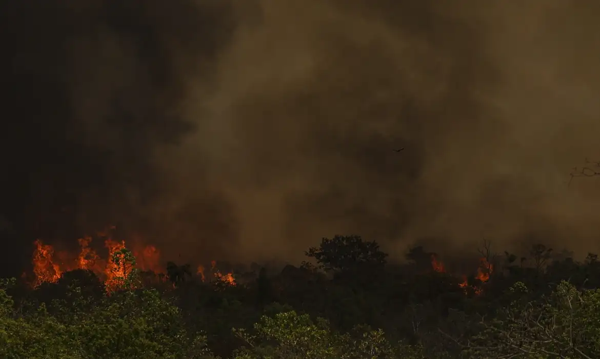 RJ: Chuva ajuda a apagar incêndio no Parque da Serra dos Órgãos