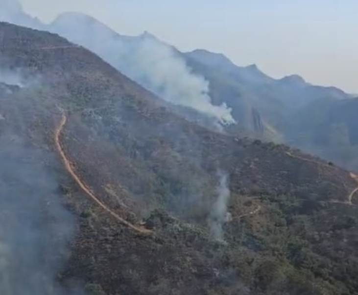 incêndios florestais rio