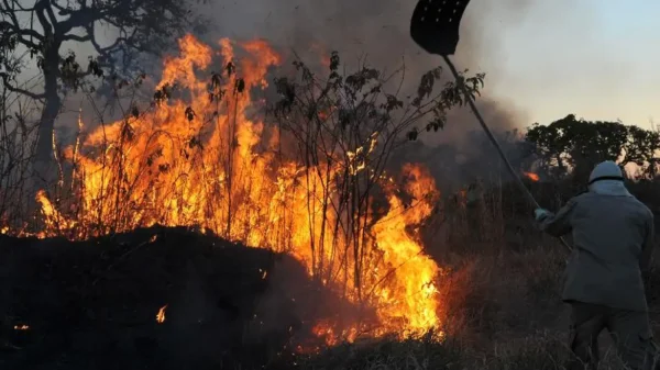 Fogo na Amazônia cresce 132% nas florestas em agosto